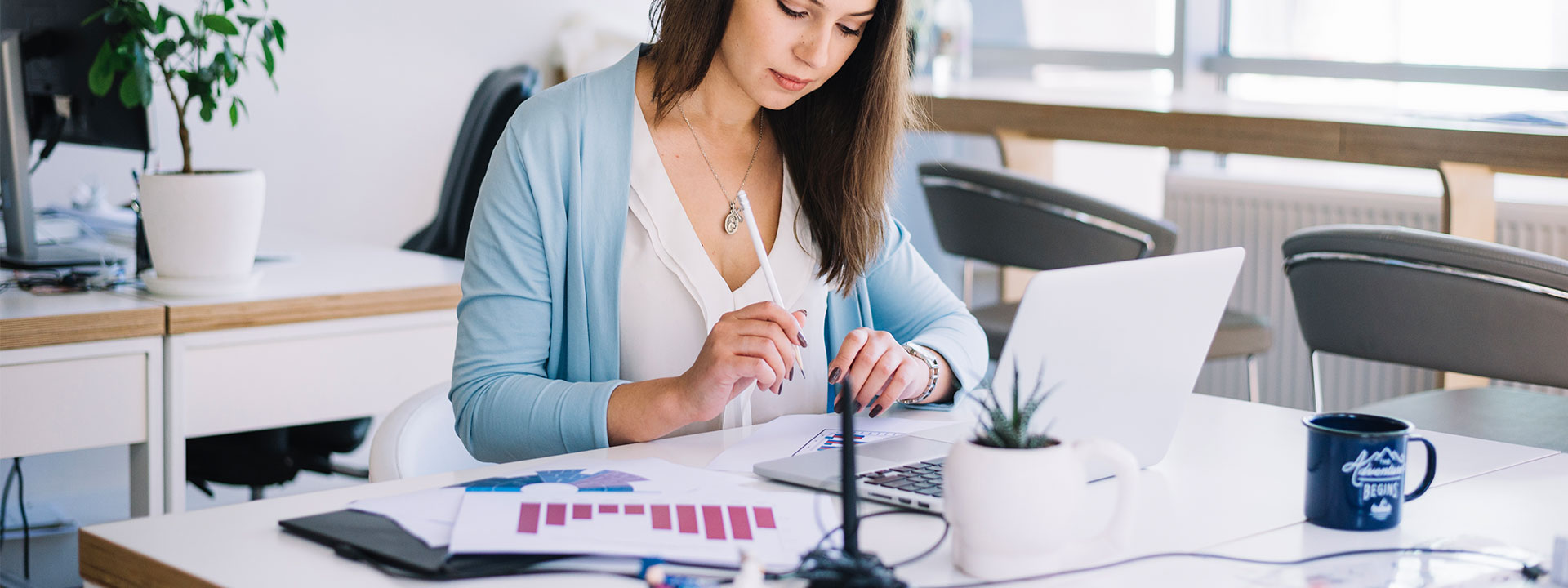 Employ an Offshore Accountant